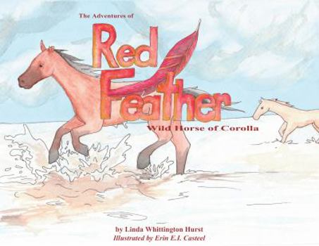 Hardcover Adventures of Red Feather : Wild Horse of Corolla Book
