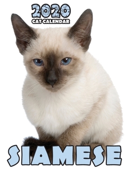 Siamese 2020 Cat Calendar