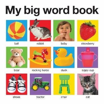 Hardcover My Big Word Book