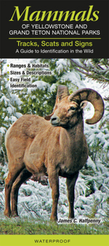 Pamphlet Mammals of Yellowstone & Grand Teton National Parks Tracks, Scats and Signs Book