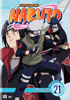DVD Naruto Volume 21 Book