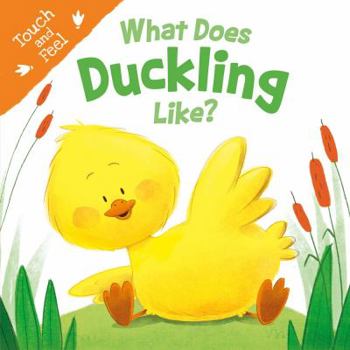 Board book What Does Duckling Like: Touch & Feel Board Book