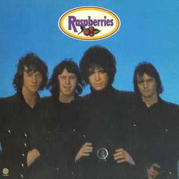 Vinyl Raspberries Book