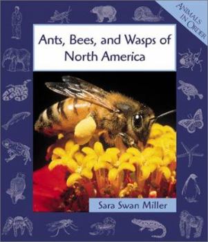Library Binding Ants, Bees, and Wasps of North America Book