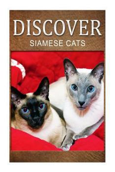 Paperback Siamese Cats - Discover: Early reader's wildlife photography book