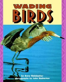 Library Binding Wading Birds Book