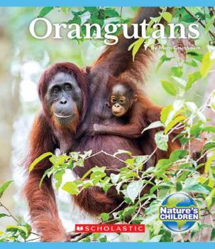 Paperback Orangutans (Nature's Children) Book