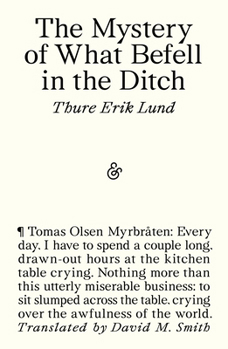 Paperback The Mystery of What Befell in the Ditch Book