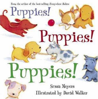 Hardcover Puppies! Puppies! Puppies! Book