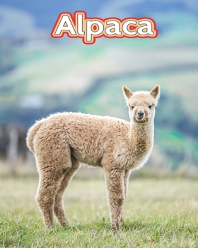 Paperback Alpaca: Facts Book (Fun Facts Book For Kids) [Large Print] Book