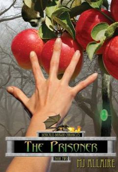 Paperback The Prisoner Book