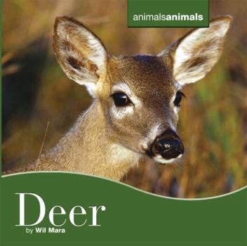 Deer - Book  of the Backyard Safari