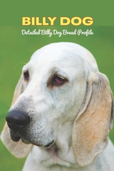 Billy Dog: Detailed Billy Dog Breed Profile