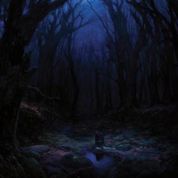 Vinyl Torn Beyond Reason Book