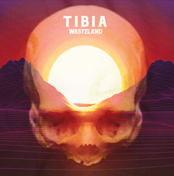 Vinyl Wasteland Book
