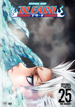 DVD Bleach Volume 25 Book