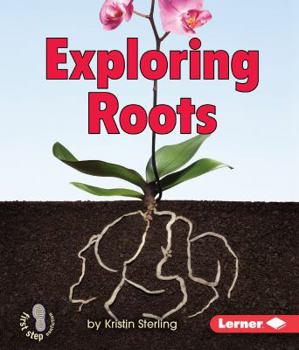 Paperback Exploring Roots Book