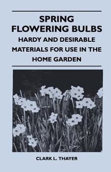 Paperback Spring Flowering Bulbs - Hardy and Desirable Materials for Use in the Home Garden Book