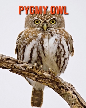 Pygmy Owl: Amazing Facts about Pygmy Owl