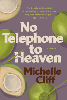 Paperback No Telephone to Heaven Book