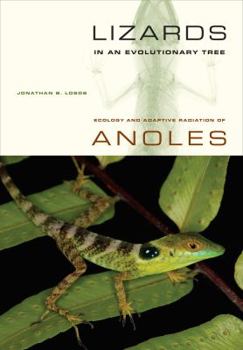 Paperback Lizards in an Evolutionary Tree: Ecology and Adaptive Radiation of Anoles Volume 10 Book