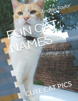 Paperback Fun Cat Names: Cute Cat Pics Book