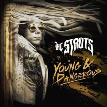 Vinyl Young&Dangerous (LP) Book