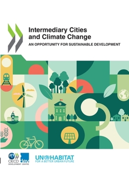 Paperback Intermediary Cities and Climate Change Book