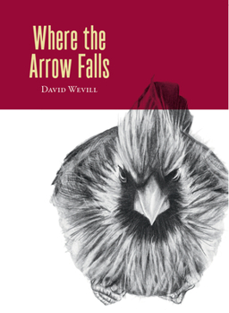 Paperback Where the Arrow Falls Book