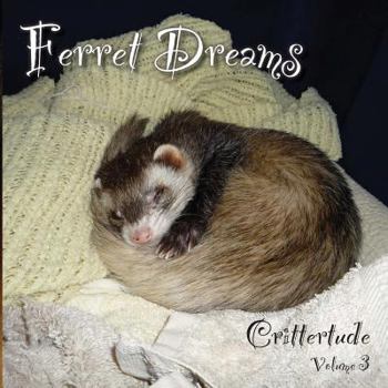 Paperback Ferret Dreams: Crittertude Book