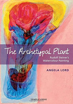 Paperback The Archetypal Plant: Rudolf Steiner's Watercolour Painting Book