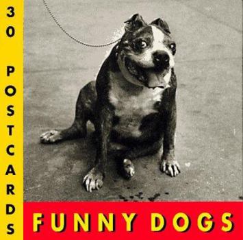 Paperback Funny Dogs Postcard Book