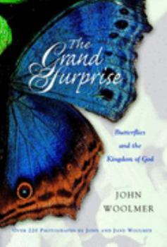Hardcover The Grand Surprise Book