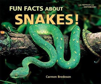 Fun Facts About Snakes! (I Like Reptiles and Amphibians!) - Book  of the I Like Reptiles and Amphibians!