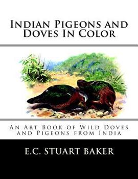 Paperback Indian Pigeons and Doves In Color: An Art Book of Wild Doves and Pigeons from India Book