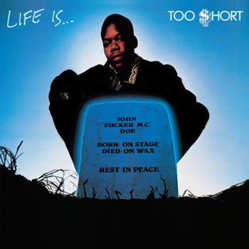 Vinyl Life Is Too $Hort (Explicit) Book