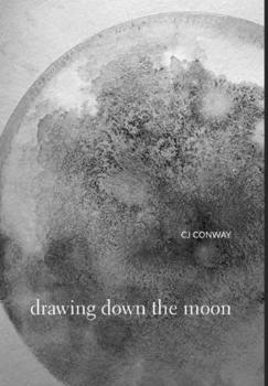 Hardcover Drawing Down the Moon Book