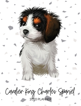 Cavalier King Charles Spaniel 2020 Planner: Dated Weekly Diary With To Do Notes & Dog Quotes (Awesome Calendar Planners for Dog Owners - Pedigree Puppy Breed)