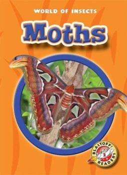 Library Binding Moths Book