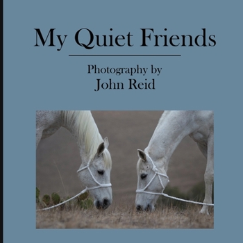 Paperback My Quiet Friends Book
