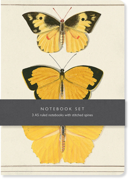 Paperback Butterfly Notebook Set: 3 A5 Ruled Notebooks with Stitched Spines Book