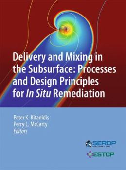 Hardcover Delivery and Mixing in the Subsurface: Processes and Design Principles for in Situ Remediation Book