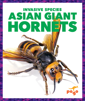 Library Binding Asian Giant Hornets Book