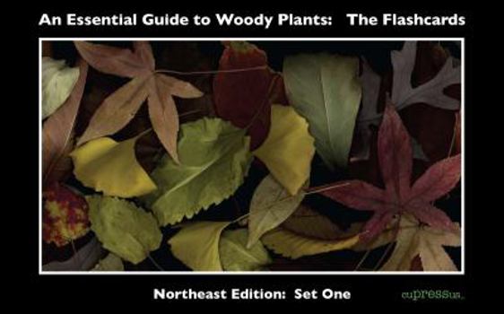 Cards An Essential Guide to Woody Plants: The Flashcards Book