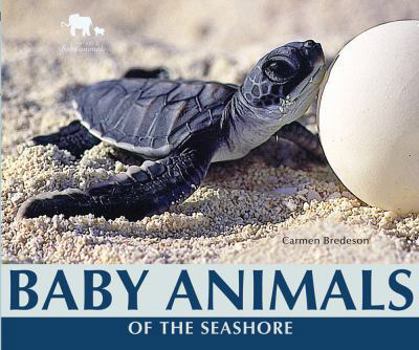 Library Binding Baby Animals of the Seashore Book