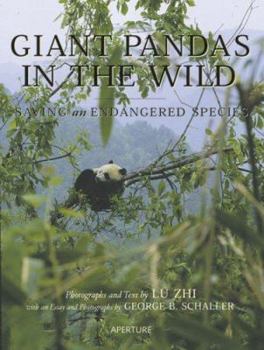 Hardcover Giant Pandas in the Wild: Saving an Endangered Species Book