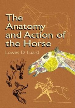 Paperback The Anatomy and Action of the Horse Book