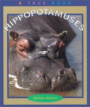 Hippopotamuses - Book  of the A True Book