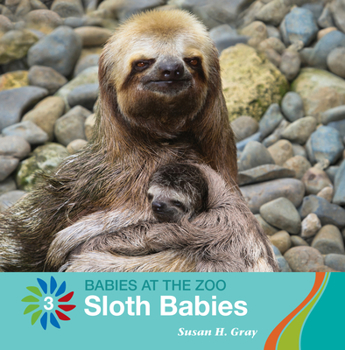 Library Binding Sloth Babies Book