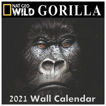 Paperback Gorilla Calendar 2021: GORILLA calendar 2021 "8.5x8.5" Inch 16 Months JAN 2021 TO APR 2022 finished and Glossy Book